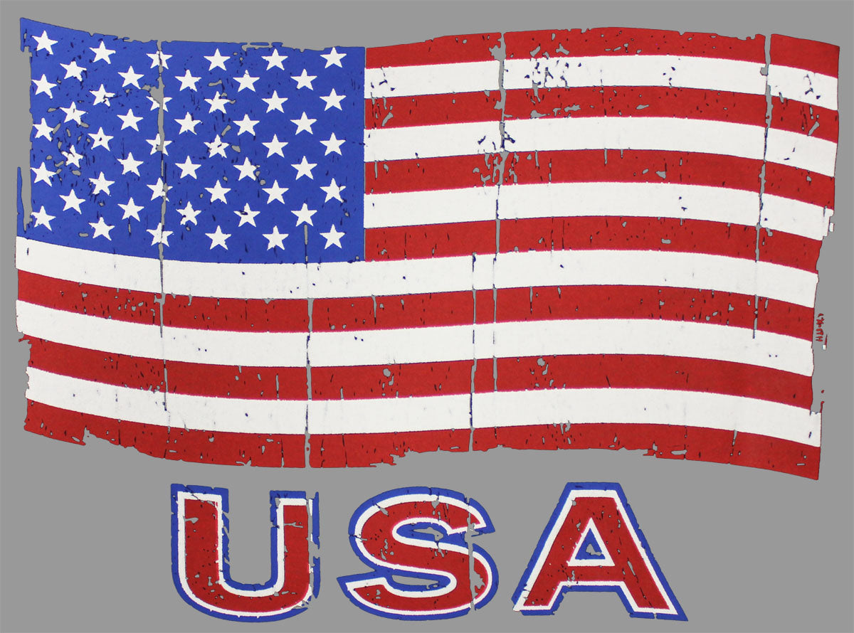 Men's USA Waving Flag T-Shirt in Five Colors
