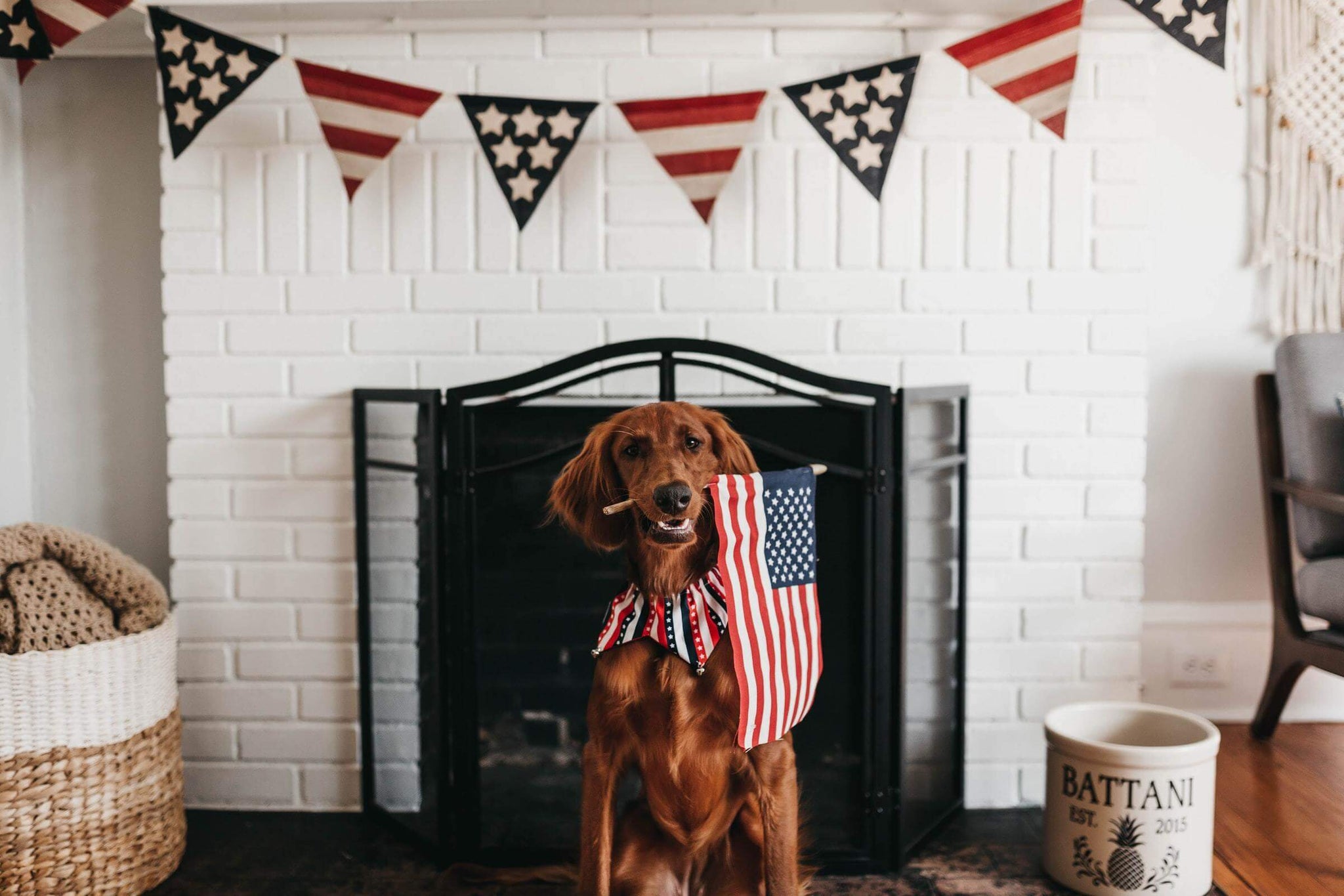 Parade in Place for the 4th of July