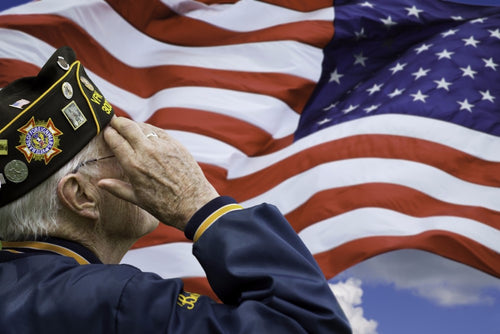 Why Is Veterans Day So Important?