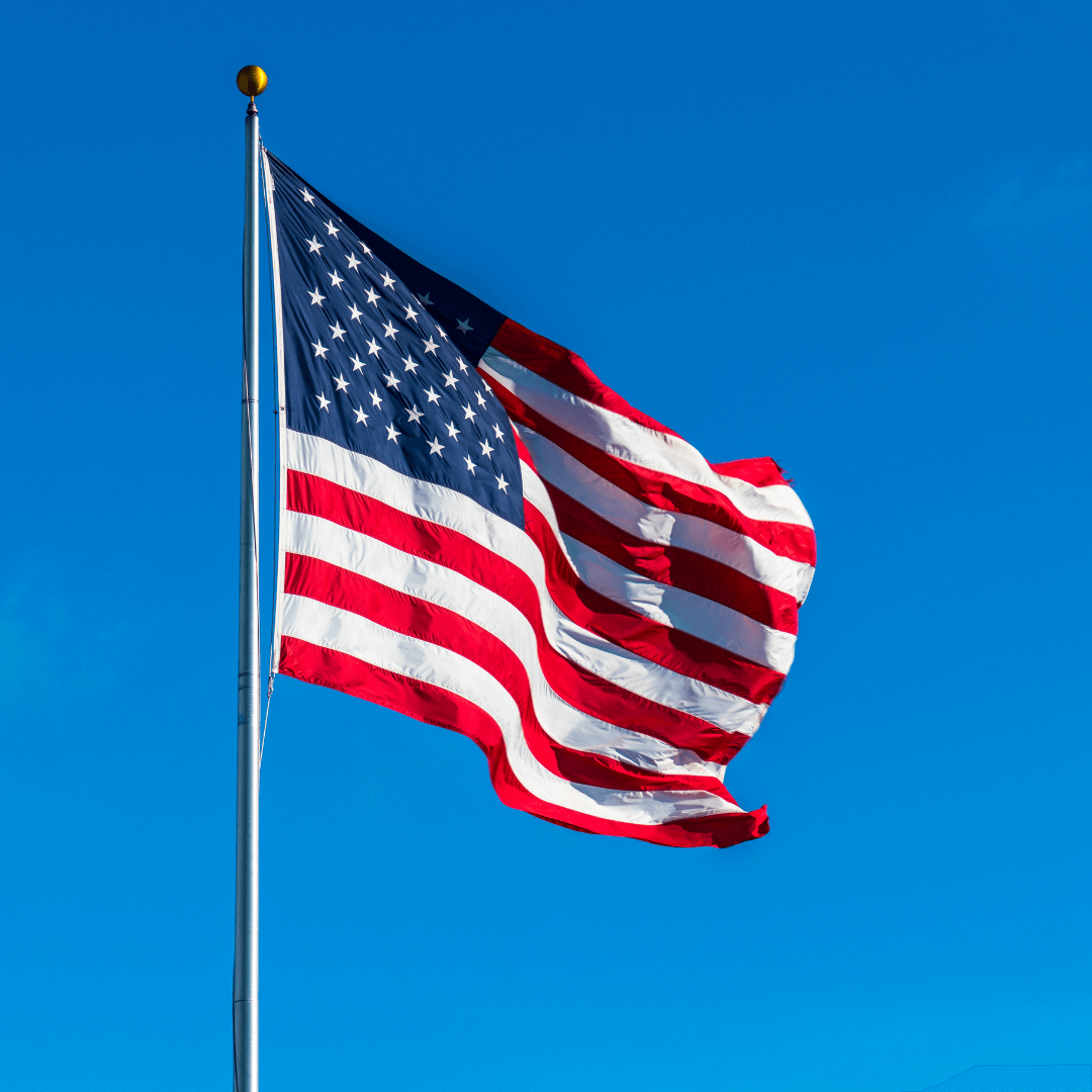 Annin Made in USA 3x5 NYL-GLO American Flag