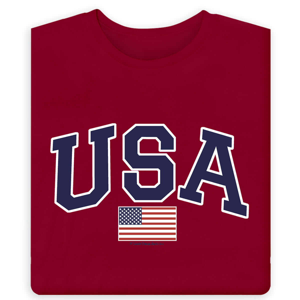 Men's USA Flag T-Shirt
