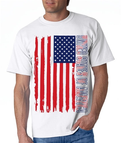 USA Celebrate America Mens T-Shirt - The Flag Shirt